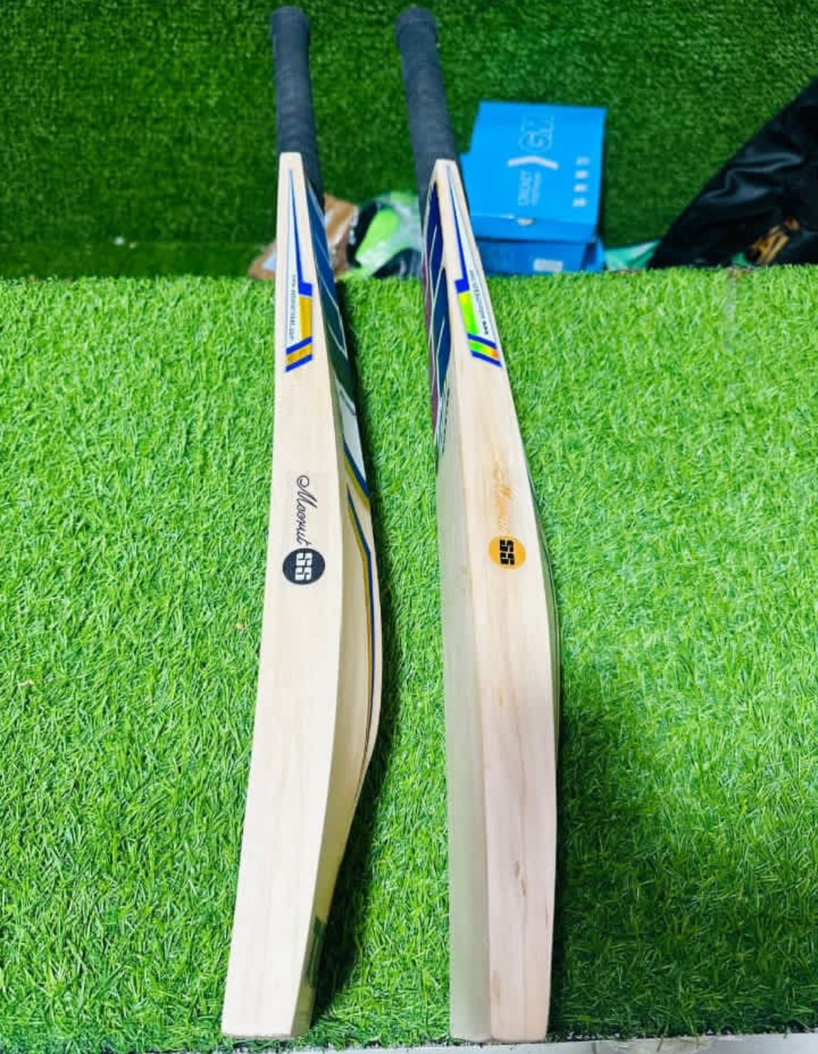SS BLASTER CRICKET BAT (SKY EDITION)